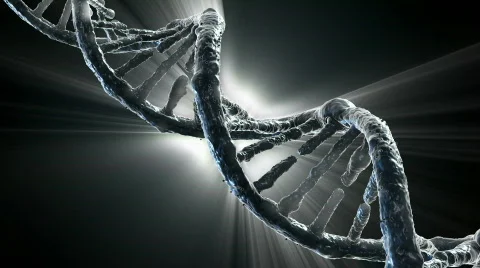 DNA strand  Vidéo 517119
