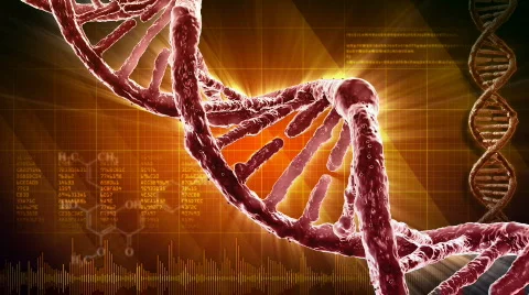 DNA strand  Video stock 613847