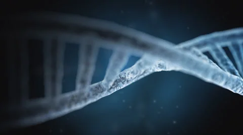 Dna Strand Video stock 33305786