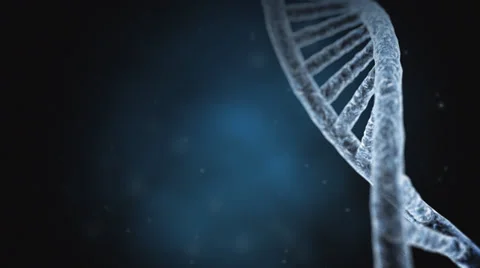 Dna Strand Video stock 33306513