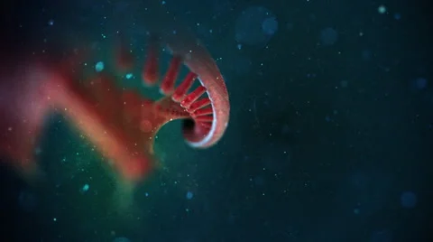 DNA Strand Video stock 47948297