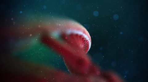 DNA Strand Video stock 47948332