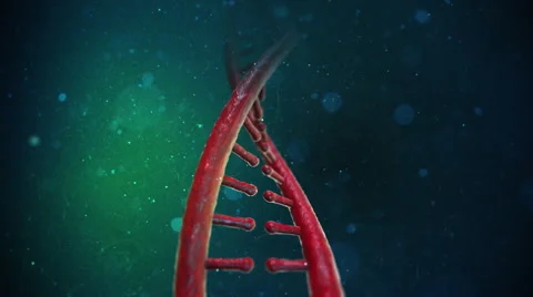 DNA Strand Video stock 47948337