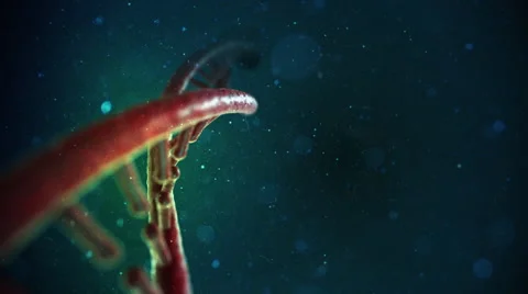 DNA Strand Video stock 47948338