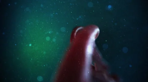 DNA Strand Video stock 47948377