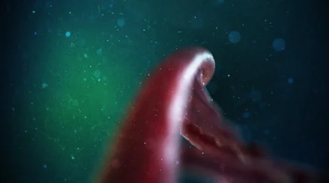 DNA Strand Video stock 47949095