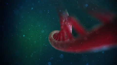 DNA Strand Video stock 47949705