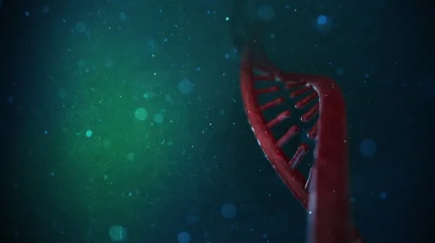 DNA Strand Video stock 47949826