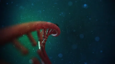DNA Strand Video stock 47949916