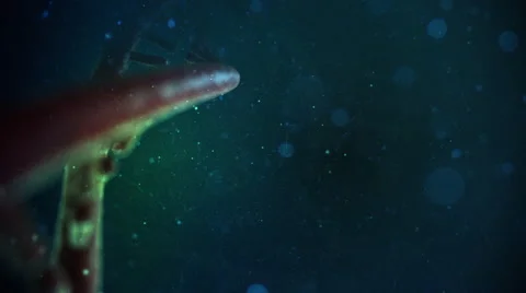 DNA Strand Video stock 47951041