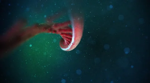 DNA Strand Video stock 47952691