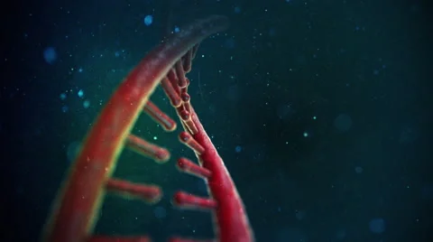 DNA Strand Video stock 47952698
