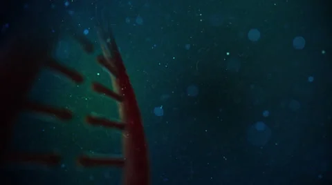 DNA Strand Video stock 47952708