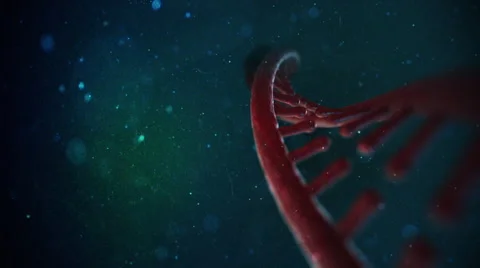 DNA Strand Video stock 47952713