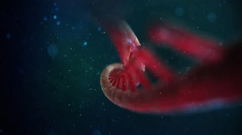 DNA Strand Video stock 47952755