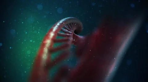 DNA Strand Video stock 47952815