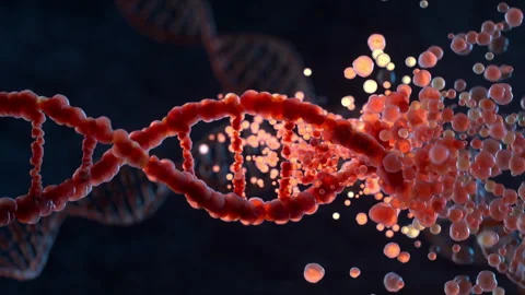 DNA strand Stock Footage 254432108