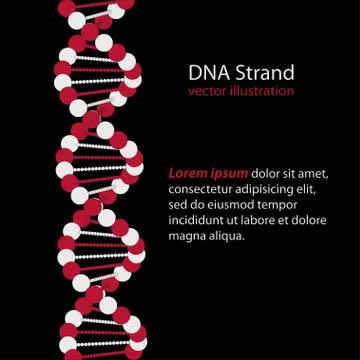 DNA Strand, genetic code 스톡 일러스트