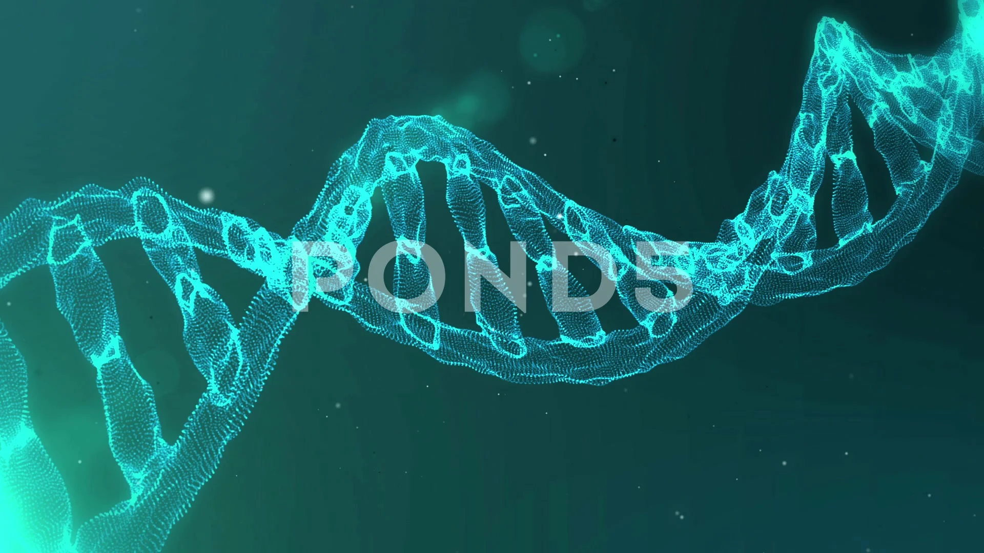 DNA Strand with Genetic Codes - 3D Anim... | Stock Video | Pond5