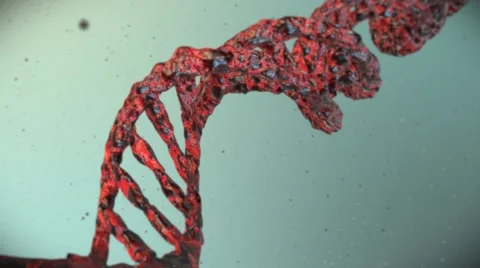 DNA Strand with Genetic Codes and abstract geometry - 3D Animation Stock Footage 65773767