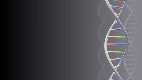 DNA Strand Genome image 3 A1A1b 4k Stock Footage 113913326