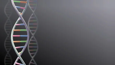 DNA Strand Genome image 3 A1A1 4k Stock Footage 113913687