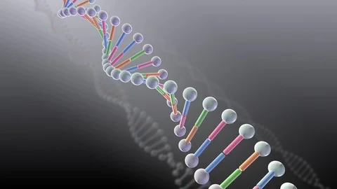 DNA Strand Genome image 3 B1A4 4k Stock Footage 113918988