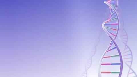 DNA Strand Genome image 3 A1A2a 4k Stock Footage 113940658