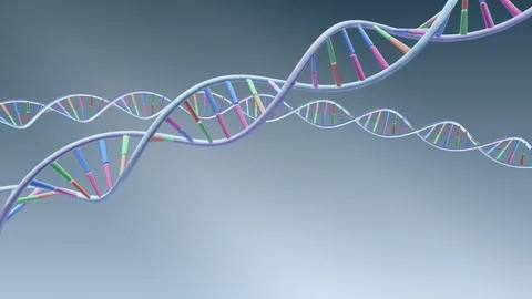 DNA Strand Genome image 3 A1A56 4k Video stock 113942579
