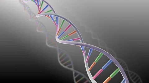 DNA Strand Genome image 3 A2 A4 4k Stock Footage 113943473
