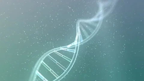 DNA Strand Genome image 5 A4e 4k Video stock 114627711