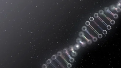DNA Strand Genome image 5 B2f 4k Video stock 114632097