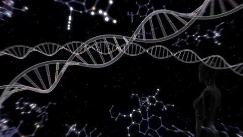 DNA Strand Genome image 6 A56d human 4k Stock Footage 115099811