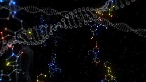 DNA Strand Genome image 6 B56d human 4k Vidéo 115129227