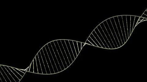 DNA Strand. human dna structure Background. DNA rotation from hexadecimal c.. Stock Illustration