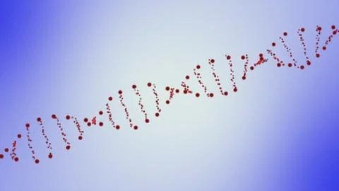 DNA Strand. human dna structure Background. rotating DNA molecules in chrom.. Stock Illustration