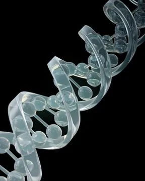 Dna strand 스톡 일러스트