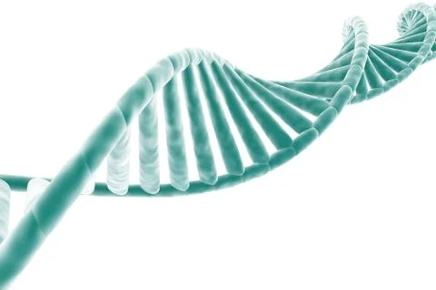 Dna strand Illustrazione stock