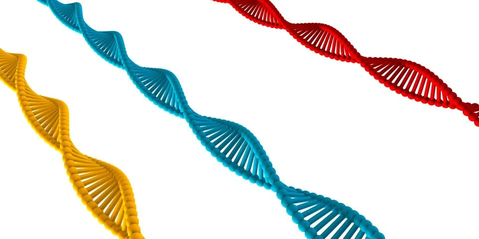 DNA Strand Stock Illustration