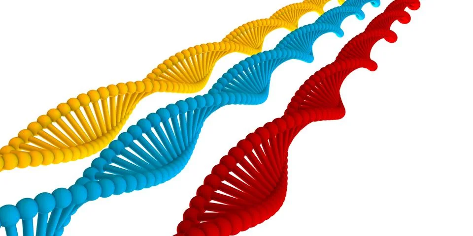 DNA Strand イラスト素材
