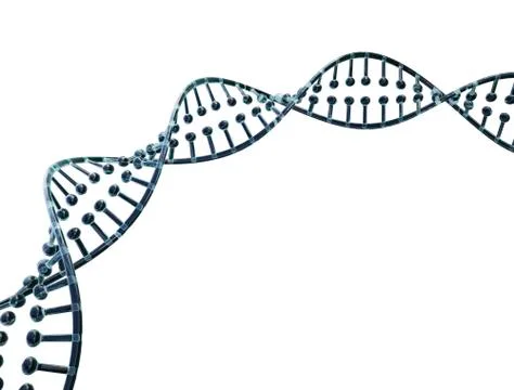 DNA strand Stock Illustration