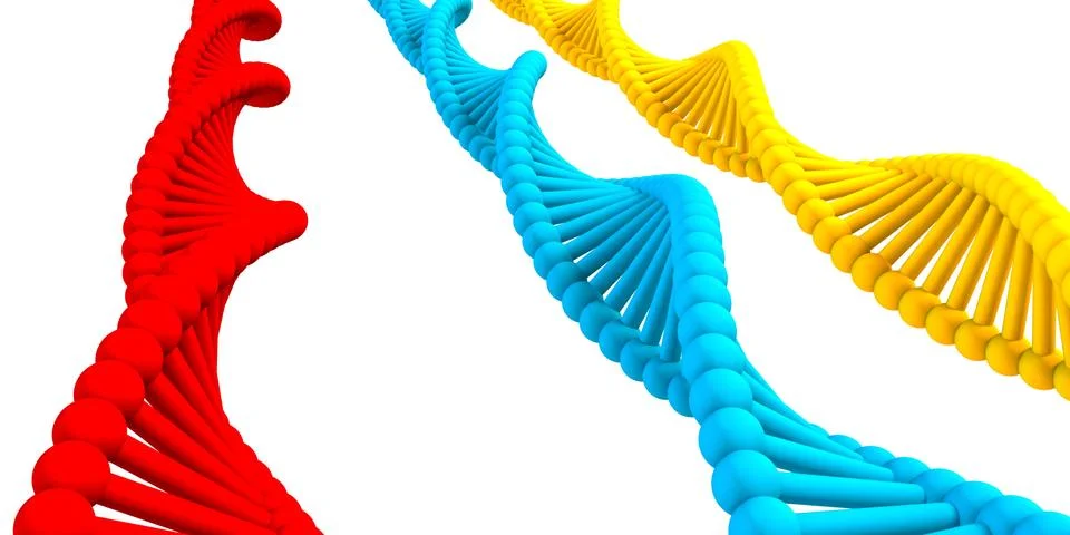 DNA Strand Stock Illustration