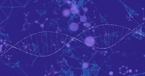 DNA strand image over abstract molecular structures on blue background Illustrazione stock