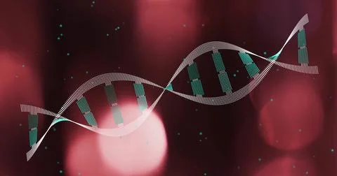 DNA strand image over blurred red and pink lights 스톡 일러스트