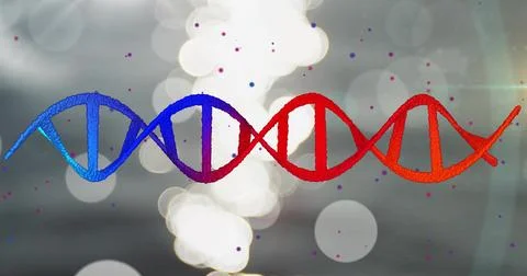 DNA strand image over bokeh lights background 스톡 일러스트