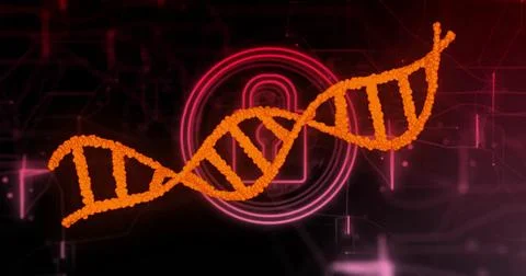 DNA strand image over digital lock and circuit background Illustrazione stock