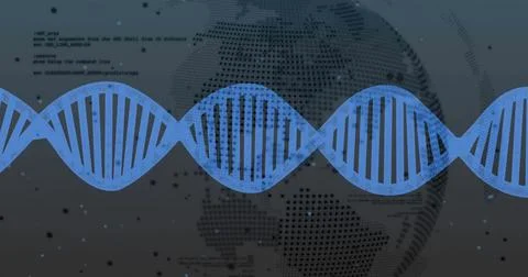 DNA strand image over digital world map and binary coding Illustrazione stock