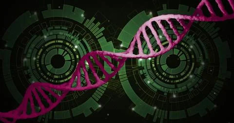 DNA strand image over green digital interface background Stock Illustration