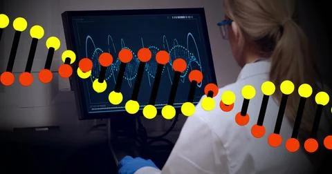 DNA strand image over scientist analyzing data on computer screen 写真素材