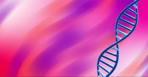 DNA strand image over vibrant pink and purple gradient background Stock Illustration